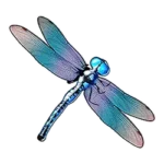 Dragonfly Symbol in Big Bass Bonanza